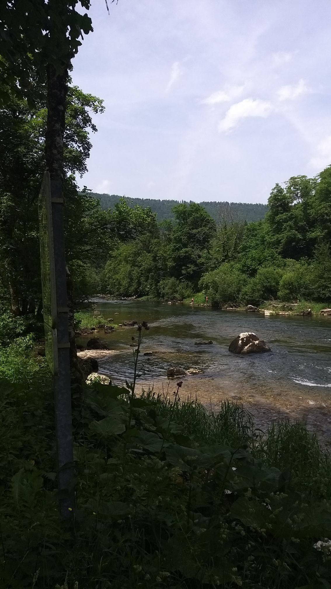 The Doubs river running over rocks through a forested valley near Goumois