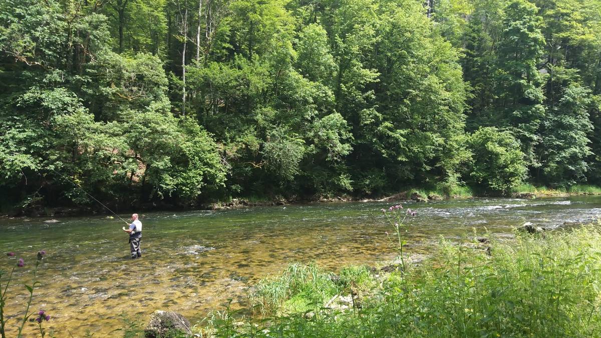 A fly fisherman standing in the shallow Doubs river near Goumois