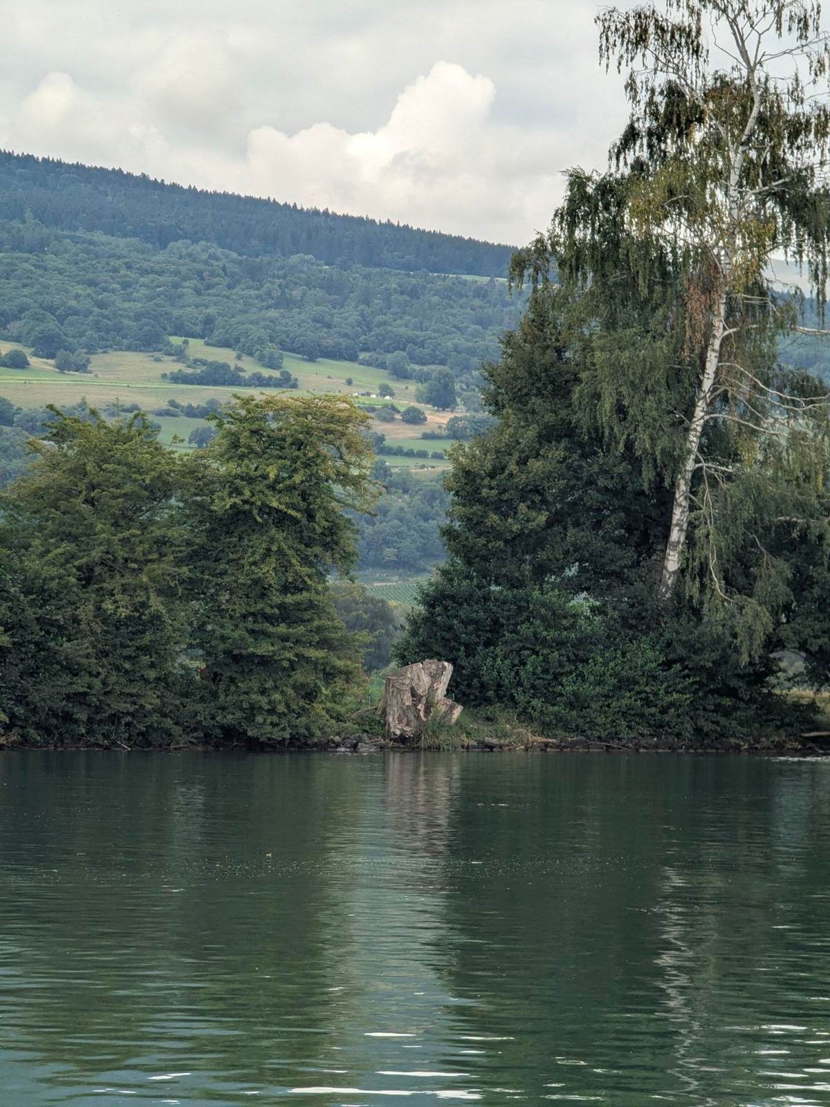 A lake with a tree-lined shore near Zug, Switzerland